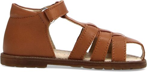 Naturino Baby Boy's Falcotto Cedric (Toddler) Cognac EU 25 (US 8 Toddler) M in Saudi Arabia