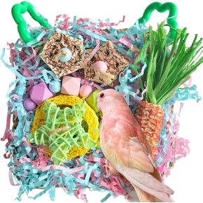 ألعاب الببغاء ، Tyotrbs Bird Foraging Box Bird Toys for Cockatiels Bird Toys for Parrots Bird Thredder Toys Parrot Cagetoy Lovebird و Conure Cage Association for Small Birds in Kuwait