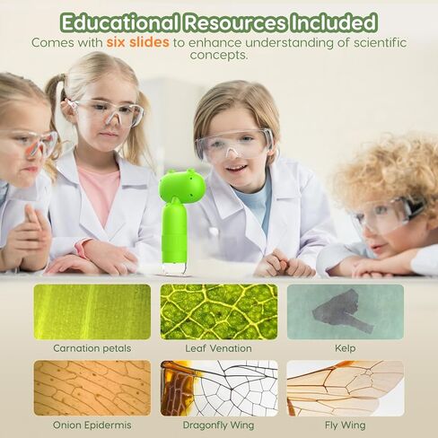 مجهر Hayve للأطفال الذين يعانون من شاشة 2inch IPS ، مجهر Mini Pocket المحمولة مع 8 LEDs ， PC in Kuwait