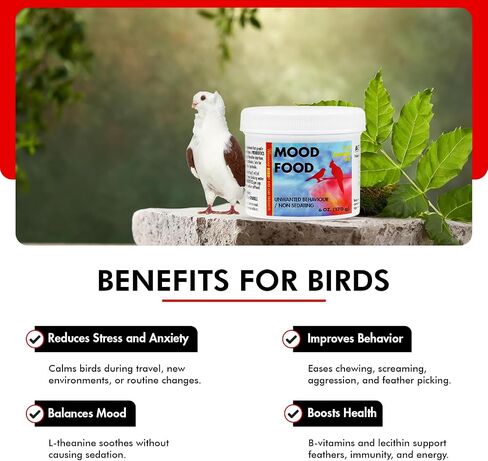 Morning Bird Mood Food (Avian Calming Formula), Non-Sedating Anxiety & Stress Relief Powder for Nervous Birds or Unwanted Behaviors, 1 oz in Saudi Arabia