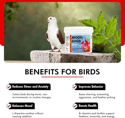 Morning Bird Mood Food (Avian Calming Formula), Non-Sedating Anxiety & Stress Relief Powder for Nervous Birds or Unwanted Behaviors, 1 oz in Kuwait