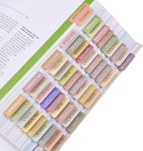 Bible Tabs, 72 Bible Tabs for Women Study Bible, Laminated Bible Index Tabs, Easy Navigation and Apply, Bible Book Tab for Christian Gift (Pink Theme) in Saudi Arabia