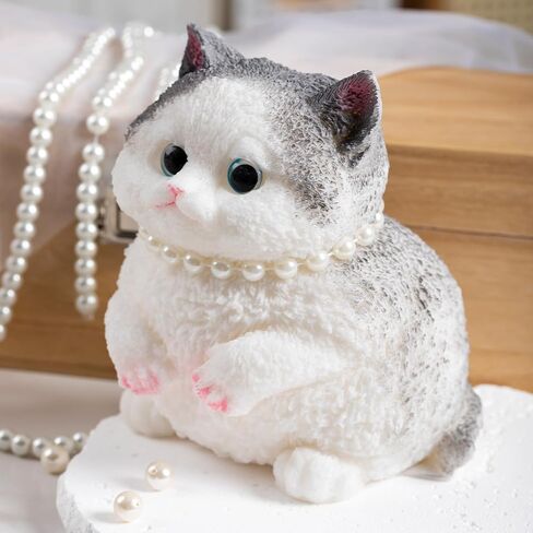 4 PCS Taba Squishy Paw ، Fufu Cat Cat Squishy Fear Relief Toys للبالغين ، هدية لصالح الحفلات in Kuwait