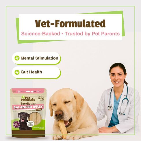 Pet Naturals BusyButter Balanced Belly Peanut Butter Bones, Rawhide-Free Chews for Small Dogs, Long Lasting Chew Bones, Probiotics and Pumpkin for Gut Health, 22 Count in Kuwait