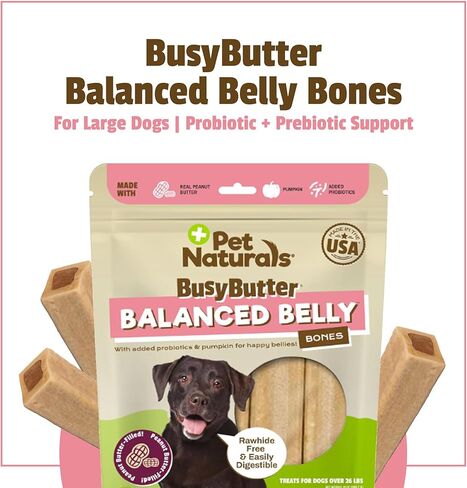 Pet Naturals BusyButter Balanced Belly Peanut Butter Bones, Rawhide-Free Chews for Small Dogs, Long Lasting Chew Bones, Probiotics and Pumpkin for Gut Health, 22 Count in Kuwait
