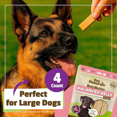 Pet Naturals BusyButter Balanced Belly Peanut Butter Bones, Rawhide-Free Chews for Small Dogs, Long Lasting Chew Bones, Probiotics and Pumpkin for Gut Health, 22 Count in Kuwait