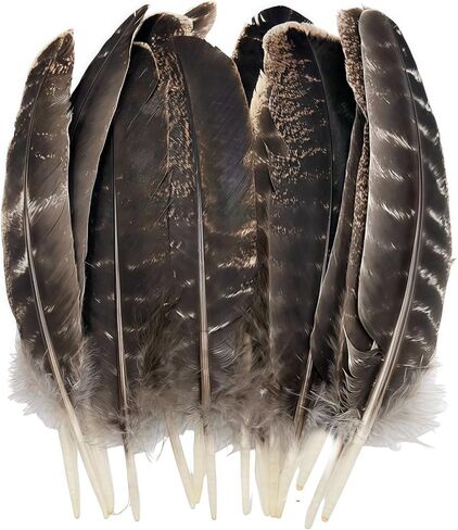 GOODIY Natural Long Feathers 12Pcs 8-10 inches（20-25cm）Beautiful Natural Turkey Feathers Bilateral Large Feathers Decorative Feathers for Clothing, Hats, Wings, Handmade DIY (Turkey feather-8-10in) in Kuwait