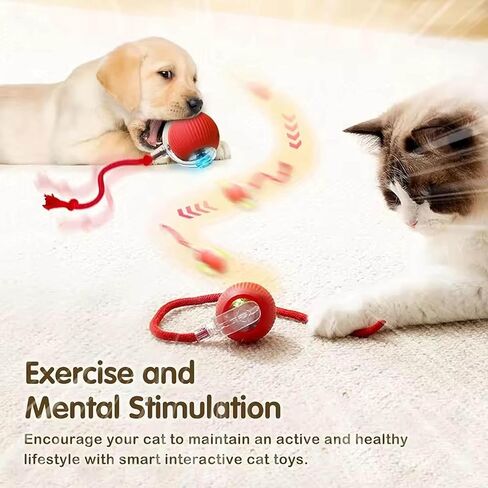 2 PCS Interactive Cat Toy Rolling Ball with Tail Chewie Viral Dog Ball, Smart Automatic Rolling Pet Balls,Automatic Moving Electric Cat Toy in Saudi Arabia