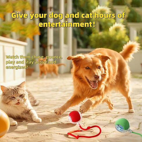 2 PCS Interactive Cat Toy Rolling Ball with Tail Chewie Viral Dog Ball, Smart Automatic Rolling Pet Balls,Automatic Moving Electric Cat Toy in Saudi Arabia