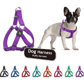 Kruz Original Heavy-Duty No Pull Dog Harness - Ultra Comfort, Lifetime Durability, Pet Harness for Small and Medium Dog Breeds (Turquoise, Large) in Kuwait