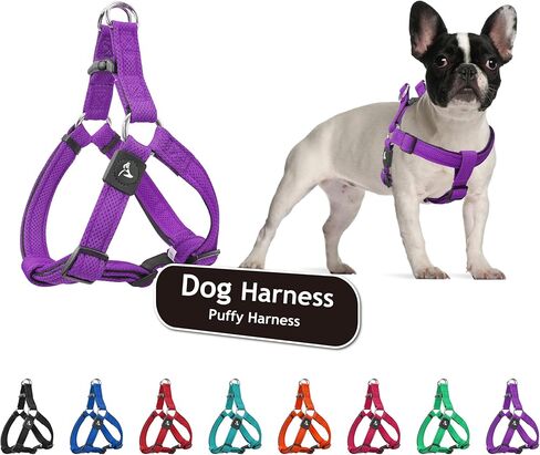 Kruz Original Heavy-Duty No Pull Dog Harness - Ultra Comfort, Lifetime Durability, Pet Harness for Small and Medium Dog Breeds (Turquoise, Large) in Kuwait
