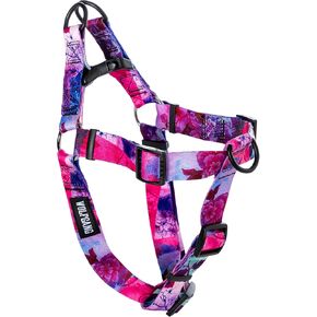 وولفغانغ تسخير الكلب القابل للتعديل في Wolfgang ، ويتم اختباره إلى أكثر من 800 رطل للمشي والتدريب ، وطباعة starrywolf ، كبيرة in Kuwait