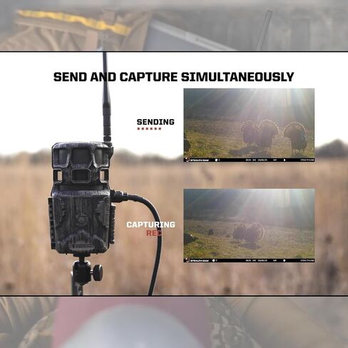 Stealth Cam Revolver Pro 2.0 360-Degree 40MP Cellular Camera 1440p Video Resolution (Brown) Bundle with Holder, Memory Card, and SD Reader (4 Items) in Saudi Arabia