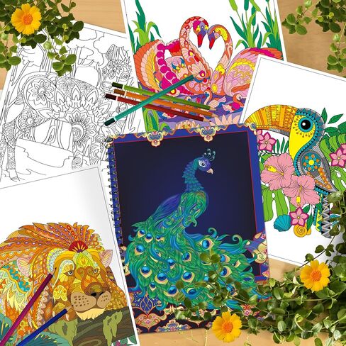 Kalysky Easy and Cozy Adult Coloring Book Set, 3 Stress Relief Coloring Books for Adults Relaxation, Flower Inspirational Quotes Coloring Books in Saudi Arabia