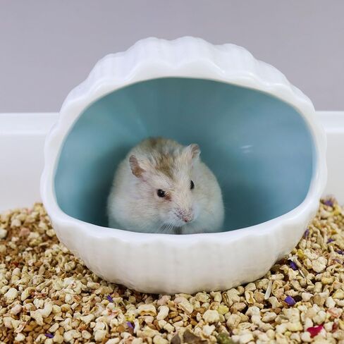 WishLotus Ceramic Hamster Hideout, Adorable Sea Shell Shaped Hamster House, Large-Opening Small Animal Hideout, Small Animal Hideout Habitat Decor for Dwarf Hamsters Gerbils Chinchilla in Saudi Arabia