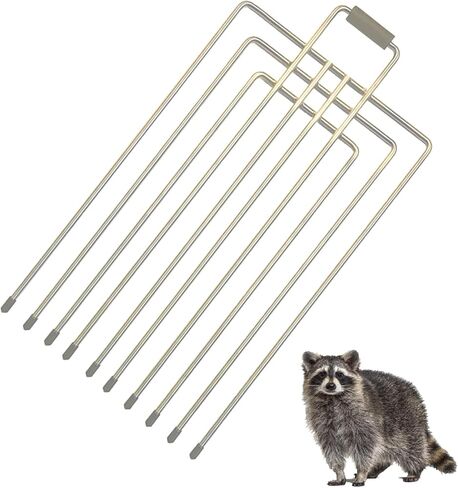 فخ قفص مقسم المقسم المقاوم للصدأ لمدة 10 "و 12" مصائد واسعة وأقفال أقفاص قفصات حية (12 بوصة) in Kuwait