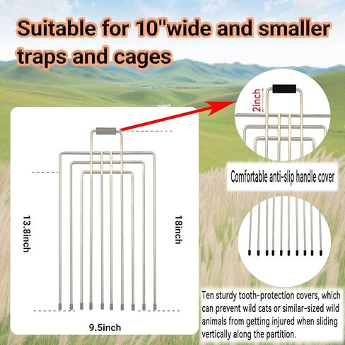 فخ قفص مقسم المقسم المقاوم للصدأ لمدة 10 "و 12" مصائد واسعة وأقفال أقفاص قفصات حية (12 بوصة) in Kuwait