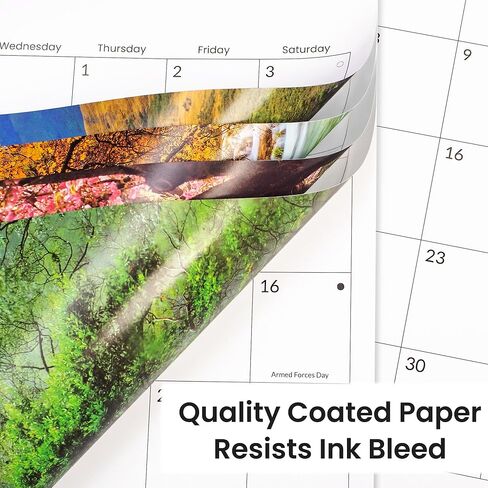 Sunee Calendar 2025 للجدار ، 2025 تقويم الجدار الكبير 12 × 12 بوصة مع 16 شهرًا من الآن إلى ديسمبر 2025 ، ورق لامع كثيف ، 12 "× 24" (مفتوح) ، مسار in Kuwait