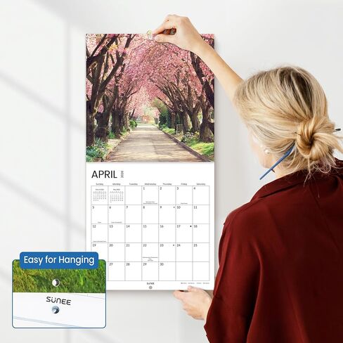 Sunee Calendar 2025 للجدار ، 2025 تقويم الجدار الكبير 12 × 12 بوصة مع 16 شهرًا من الآن إلى ديسمبر 2025 ، ورق لامع كثيف ، 12 "× 24" (مفتوح) ، مسار in Kuwait