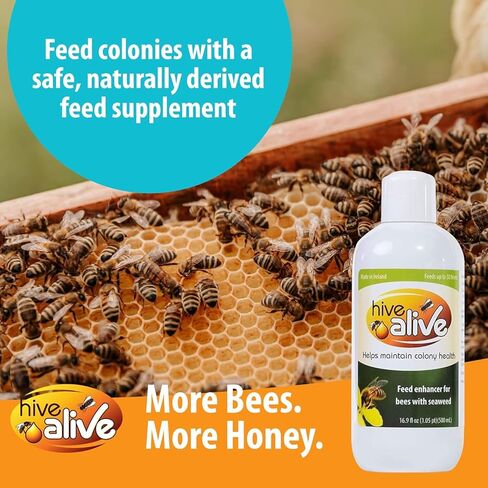 HIVE ALIVE Bee Feed Supplement - Honey Bee Liquid Food Stimulant - Beekeeping Fall Spring Feeding Enhancer – Lowers Winter Mortality, Boost Gut Health, Colony Size - 100 ml, 10 Hives in Kuwait