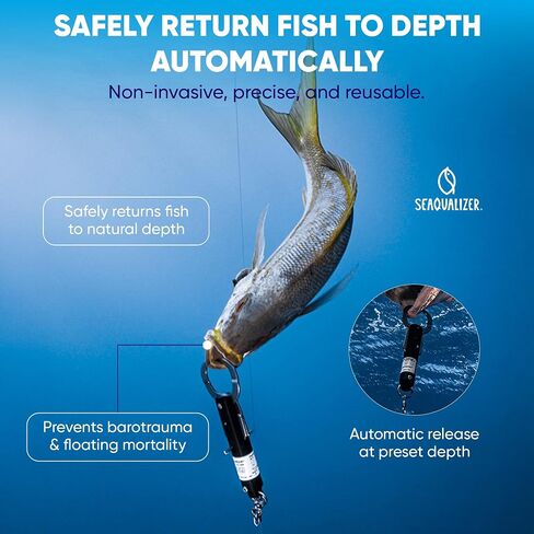 Descending Device - Shallow Water Release 30, 50, 70 feet NOAA Compliant and Most Reliable Fish Descending Tool Pressure Activated and Fail Safe in Saudi Arabia