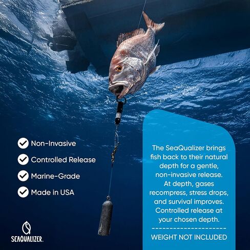 Descending Device - Shallow Water Release 30, 50, 70 feet NOAA Compliant and Most Reliable Fish Descending Tool Pressure Activated and Fail Safe in Saudi Arabia