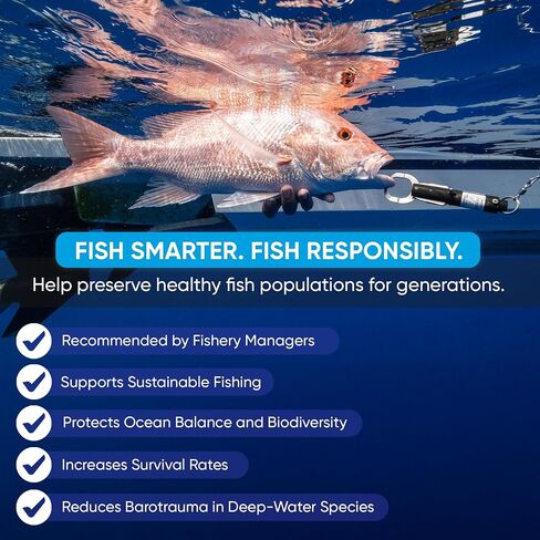 Descending Device - Shallow Water Release 30, 50, 70 feet NOAA Compliant and Most Reliable Fish Descending Tool Pressure Activated and Fail Safe in Saudi Arabia