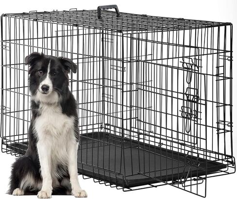 FDW Extra Dog Dog Crate Dog Cage مع باب مزدوج ، قفص كلب معدني قابل للطي 48 بوصة مع صينية وفرقة قابلة للإزالة ، قفص الحيوانات الأليفة للكلاب الكبيرة ، الأزرق in Kuwait