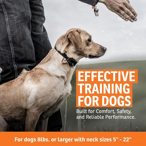SportDOG Brand FieldTrainer 425X Remote Trainer - 500 Yard Range - Rechargeable Dog Training Collar with Static, Vibrate, and Tone - SD-425X in Saudi Arabia