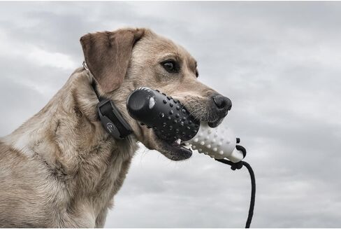 SportDOG Brand FieldTrainer 425X Remote Trainer - 500 Yard Range - Rechargeable Dog Training Collar with Static, Vibrate, and Tone - SD-425X in Saudi Arabia