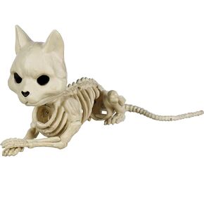 Crazy Bonez W82196 Cute Skeleton Cat, No Size, Bone