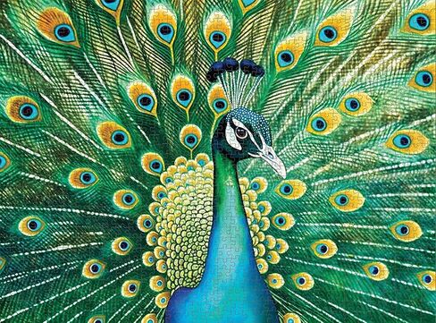 أحجية الصور المقطوعة من Cross & Glory Emerald Peacock - أحجية للبالغين مكونة من 1000 قطعة مع عمل فني مذهل على شكل طاووس | لغز مليء بالتحديات لمحبي الحيوانات من أجل متعة وعرض دائمين in Saudi Arabia