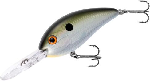 Fat Free Fingerling Fire Tiger 2 3/8" in Kuwait