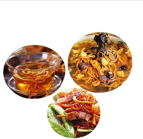 سيفانغدا كورديسيبس زهرة 虫草花/فطر كورديسيبس المجفف ميليتاريس/تشونغ كاو هوا/رأس المسام أورديسيبس ميليتاريس/الشرانق الذهبية كورديسيبس (500 جرام (1.1 رطل)) in Saudi Arabia
