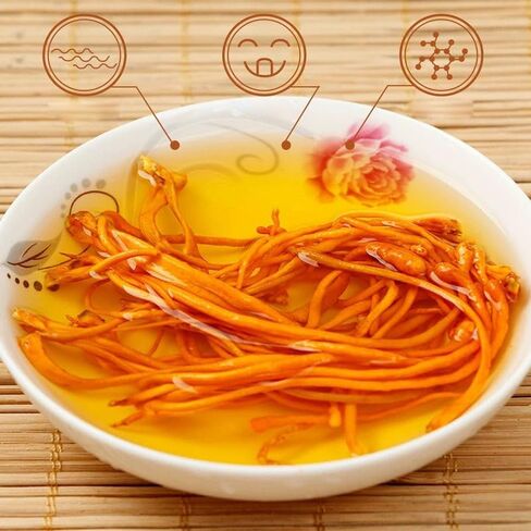 سيفانغدا كورديسيبس زهرة 虫草花/فطر كورديسيبس المجفف ميليتاريس/تشونغ كاو هوا/رأس المسام أورديسيبس ميليتاريس/الشرانق الذهبية كورديسيبس (500 جرام (1.1 رطل)) in Saudi Arabia