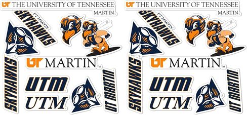 Desert Cactus The University of Tennessee at Martin Sticker Skyhawks Stickers Vinyl Decals Laptop Water Bottle Car Scrapbook Sheet T2 (Type 2) in Saudi Arabia