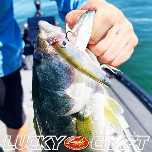 LUCKY CRAFT Gunfish 115NF Top Water Bass Fishing Lures, 4.5" Floating Lure with Cupped Mouth, Freshwater Trout and Bass Lures Fishing Gear, Accessories for Tackle Box in Saudi Arabia