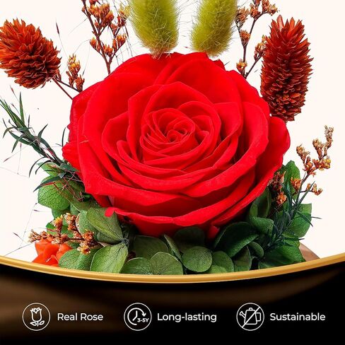 Forever Fresh Roses Flowers for Delivery Prime - Preserved Purple Flower Bouquet in Glass Dome as Birthday Gifts for Women & Mothers Day Gift Basket for Mom, Grandma, Wife, Daughter and Friends in Saudi Arabia