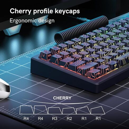 Dagaladoo Retro Double Shot PBT Keycaps 127 Keys Dye Sumlimation Shine من خلال كبسف المفاتيح مجموعة أغطية مفاتيح لوحة مفاتيح المخصصة للكرز لـ 60/65/75/tkl/96/100 ٪ لوحة مفاتيح ميكانيكية تخطيط الولايات المتحدة (رمادي/بيج) in Kuwait