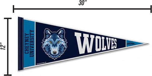 Rico Industries NCAA Anderson Trojans 12" x 30" Felt Wall Décor Pennant - Great for Home/Bed Room/Man Cave Décor in Saudi Arabia