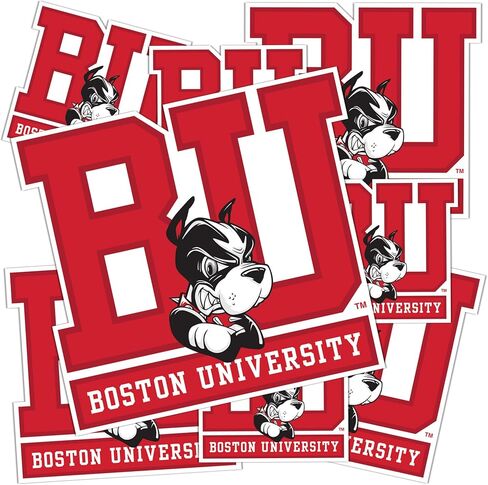 Desert Cactus Boston University Stickers Terriers BU Vinyl Decals Laptop Water Bottle Car Scrapbook Sheet T3 (Type 3-1) in Saudi Arabia