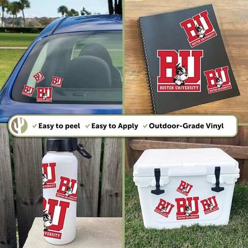 Desert Cactus Boston University Stickers Terriers BU Vinyl Decals Laptop Water Bottle Car Scrapbook Sheet T3 (Type 3-1) in Saudi Arabia