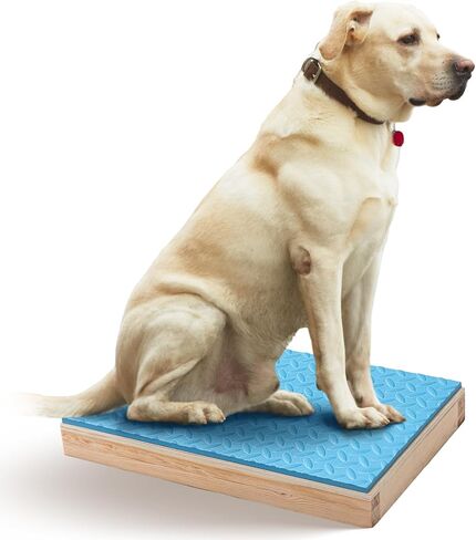 Chunful Dog Training Platform Non-Skid Surface Place Boards for Dog Portable Agility Training Equipment Pivot Box for Indoor or Outdoor Use Puppy Stand Place Boards in Kuwait