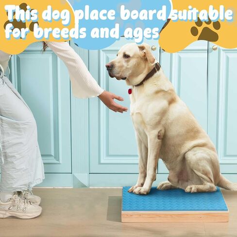 Chunful Dog Training Platform Non-Skid Surface Place Boards for Dog Portable Agility Training Equipment Pivot Box for Indoor or Outdoor Use Puppy Stand Place Boards in Kuwait