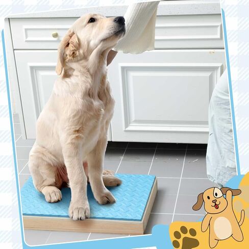 Chunful Dog Training Platform Non-Skid Surface Place Boards for Dog Portable Agility Training Equipment Pivot Box for Indoor or Outdoor Use Puppy Stand Place Boards in Kuwait