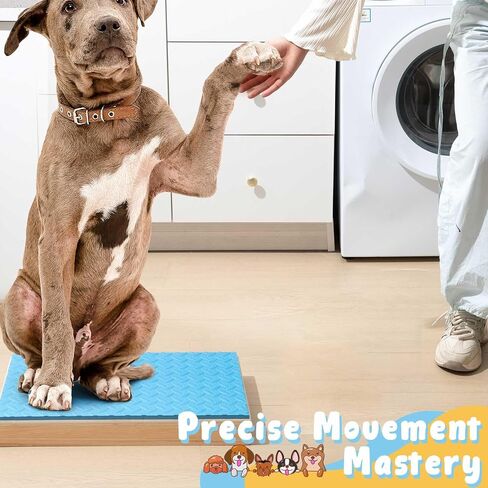 Chunful Dog Training Platform Non-Skid Surface Place Boards for Dog Portable Agility Training Equipment Pivot Box for Indoor or Outdoor Use Puppy Stand Place Boards in Kuwait