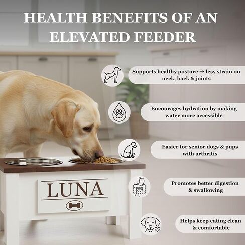 Personalized Elevated Dog Bowl Stand for Large, Medium, Small, X-Small Dogs - Stainless Steel Food and Water Bowls - Raised Dog Dish with Internal Storage (Large, Dark Walnut) in Saudi Arabia