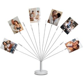 حامل شجرة الصور مع قاعدة معدنية ، 12 مقاطع مرنة ودائمة فروع الأموال حامل بطاقة الهدايا مع مقاطع ، أشجار الصور لعقد صور لاستقبال حفل تحية حفل زفاف عيد ميلاد هدية حفلة عيد ميلاد in Kuwait