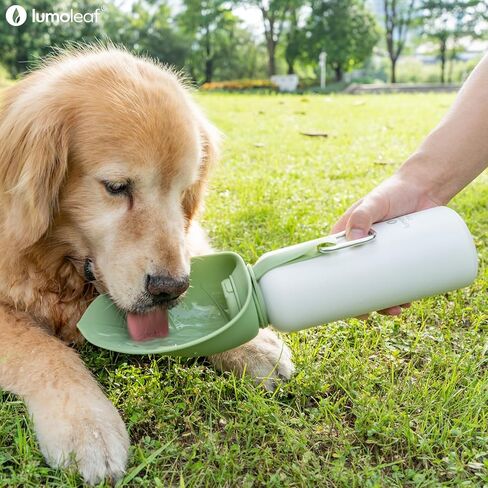 Lumoleaf معزول الكلب زجاجة مياه ماء 27 أوقية من الفولاذ المقاوم للصدأ - حافظ على الماء بارد أو دافئ ، وعاء مياه حيوان أليف محمولة للسفر ، ودليل تسرب على نطاق واسع لسهولة ملء الجليد وتنظيفه مياه الحيوانات الأليفة in Kuwait