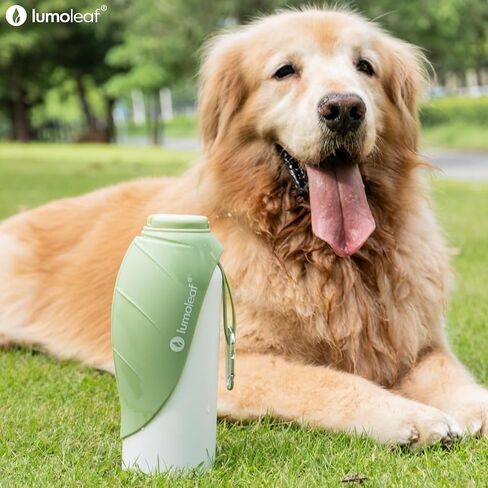 Lumoleaf معزول الكلب زجاجة مياه ماء 27 أوقية من الفولاذ المقاوم للصدأ - حافظ على الماء بارد أو دافئ ، وعاء مياه حيوان أليف محمولة للسفر ، ودليل تسرب على نطاق واسع لسهولة ملء الجليد وتنظيفه مياه الحيوانات الأليفة in Kuwait